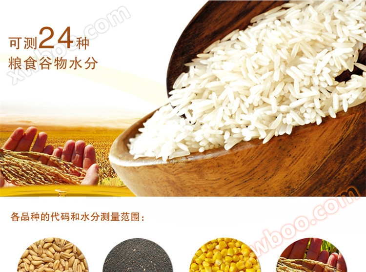 粮食水分测量仪